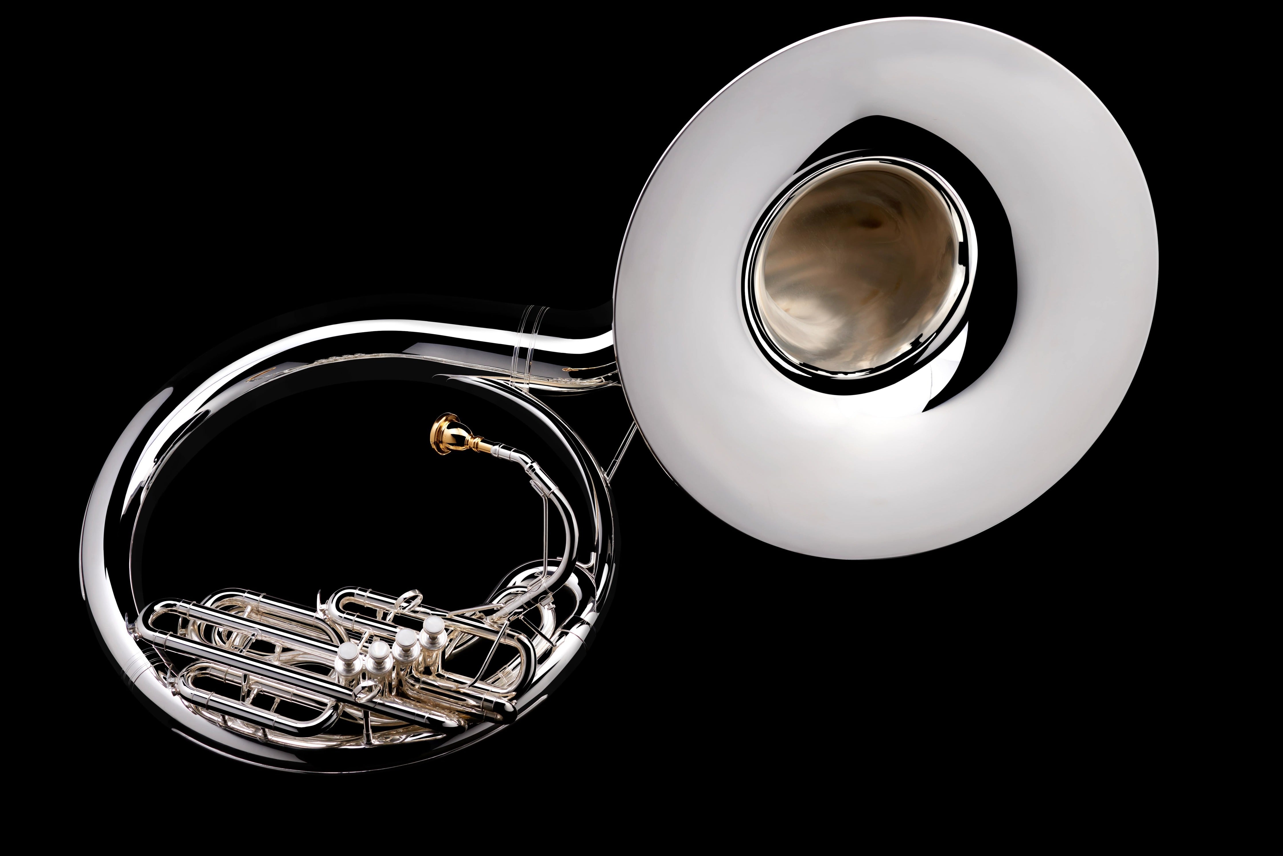 Type of sousaphone cheap