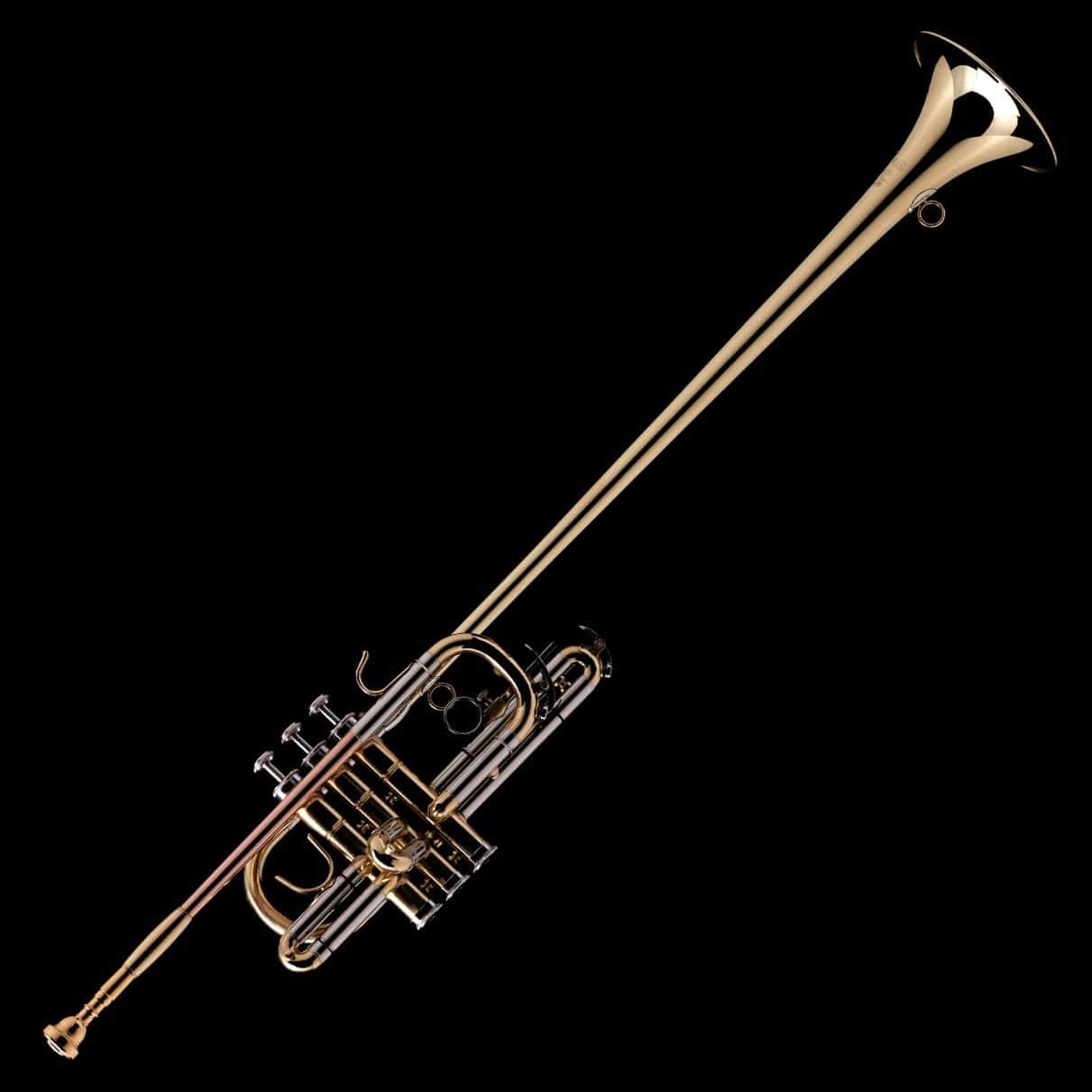 Melody Fanfare Trumpet – R130 – Wessex Tubas