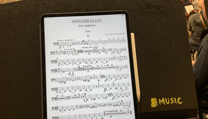Using the iPad to play music