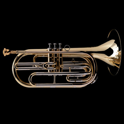 Ejemplos de instrumentos de metal