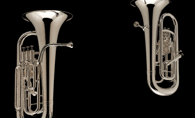 Choosing a Brass Instrument: Is Euphonium Right for You?