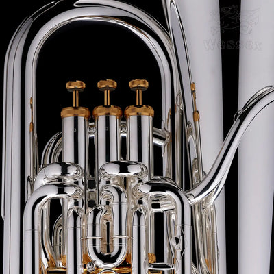 Behind the Scenes of Wessex Tubas Craftsmanship