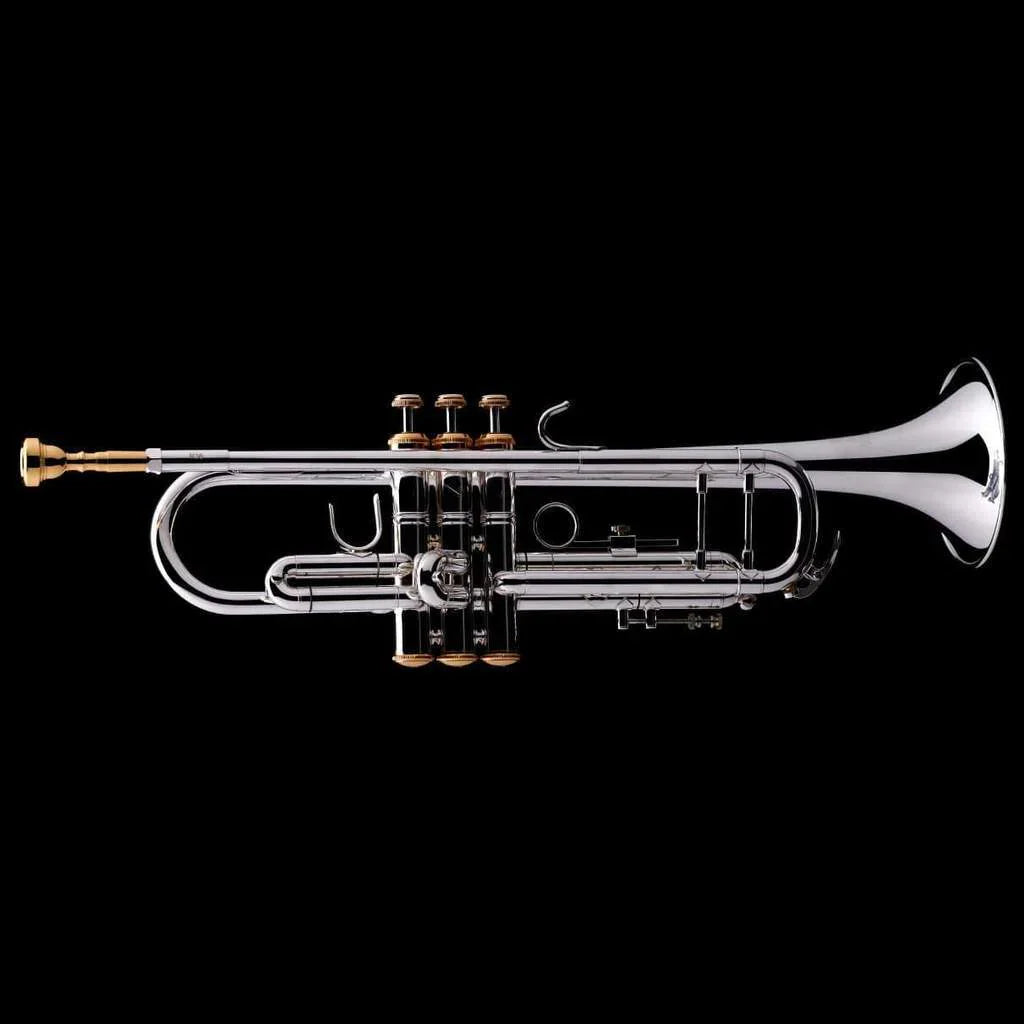 Trompetas y Cornetas | Instrumentos de metal de calidad – Tubas Wessex