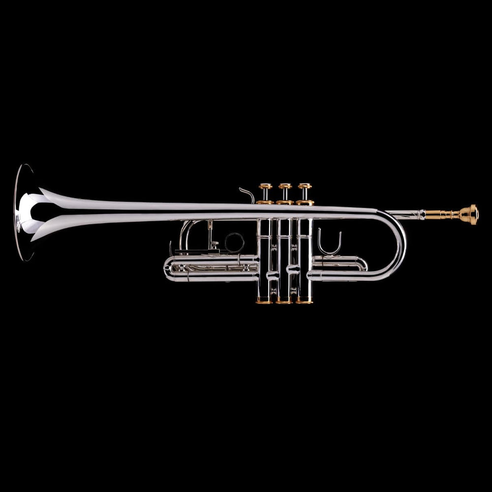 Trompeta C artesanal - R32 P