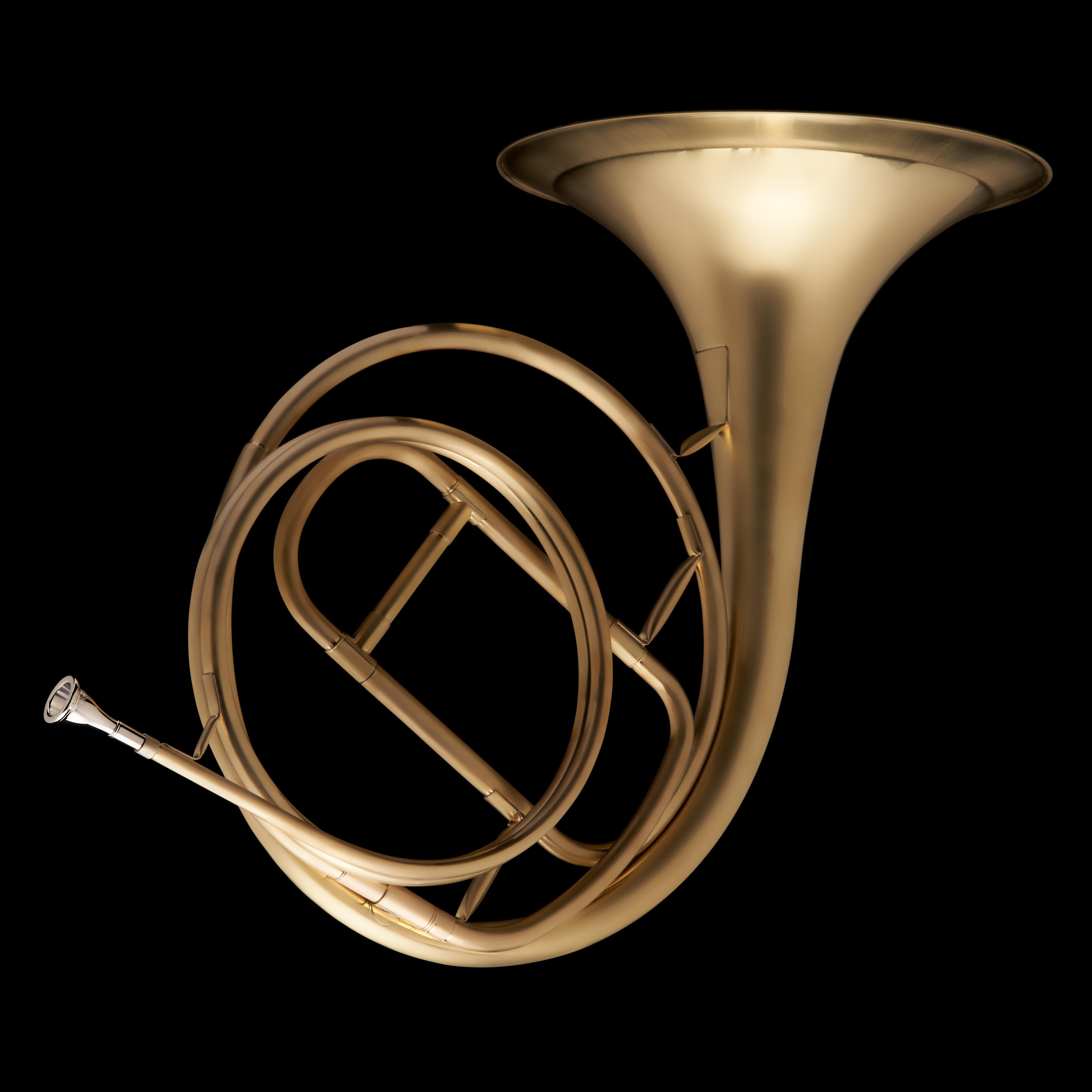 Natural on sale horn instrument