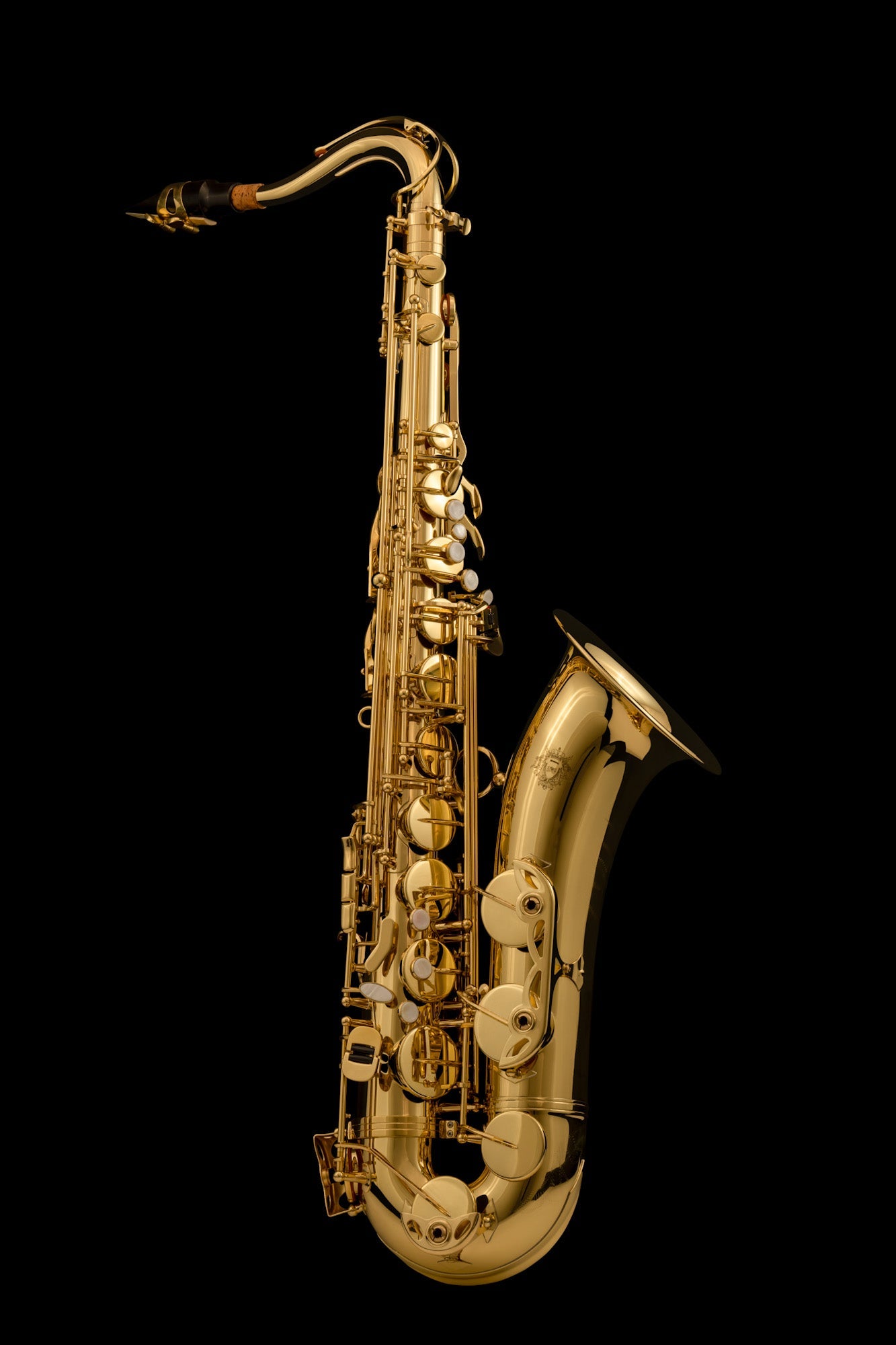 Alto Saxophone – SAX200