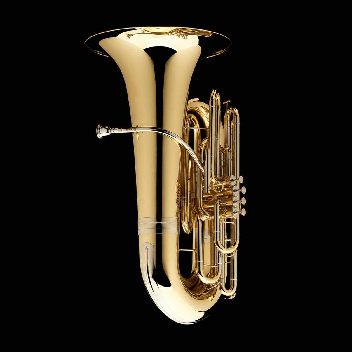 BBb 4/4 Tuba with 4valves 'Dragon' TB484 Wessex Tubas