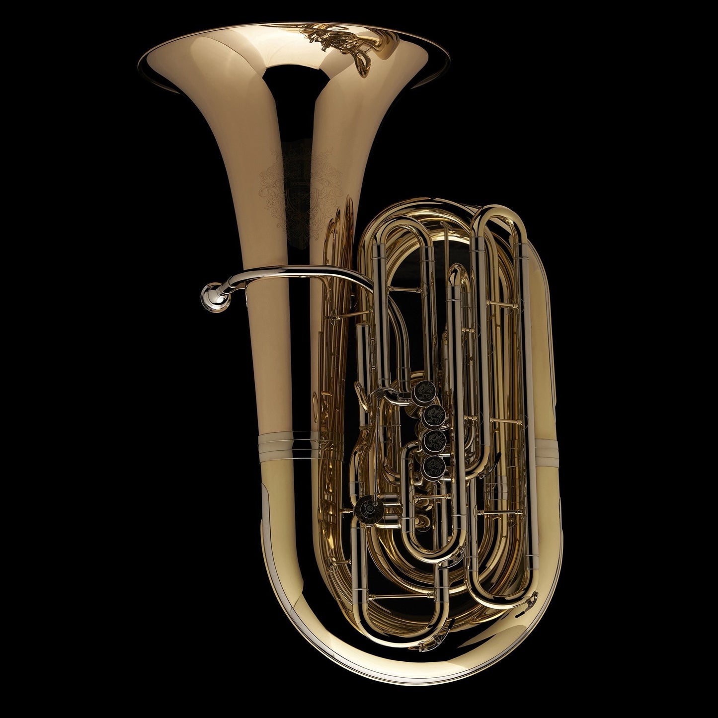 Tuba de 5/4 pistones CC 'Wyvern' – TC590P