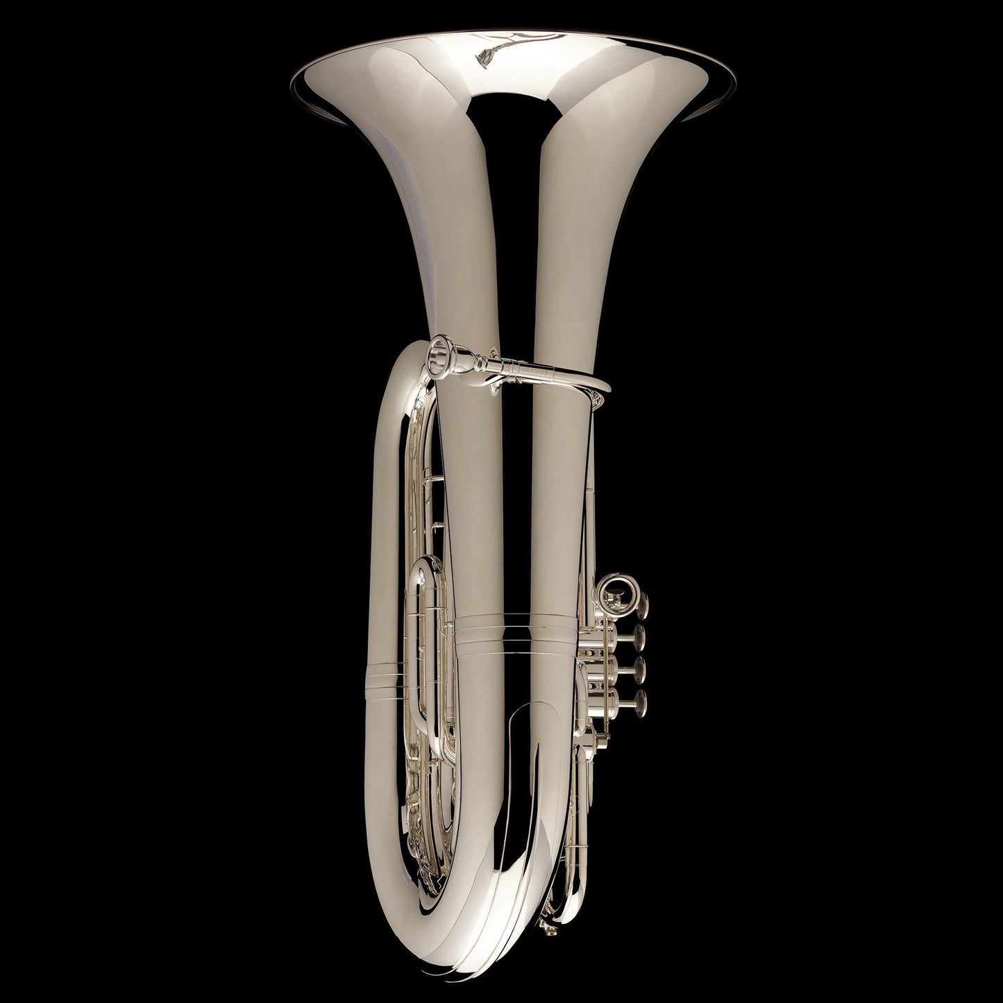 Tuba de 5/4 pistones CC 'Wyvern' – TC590P