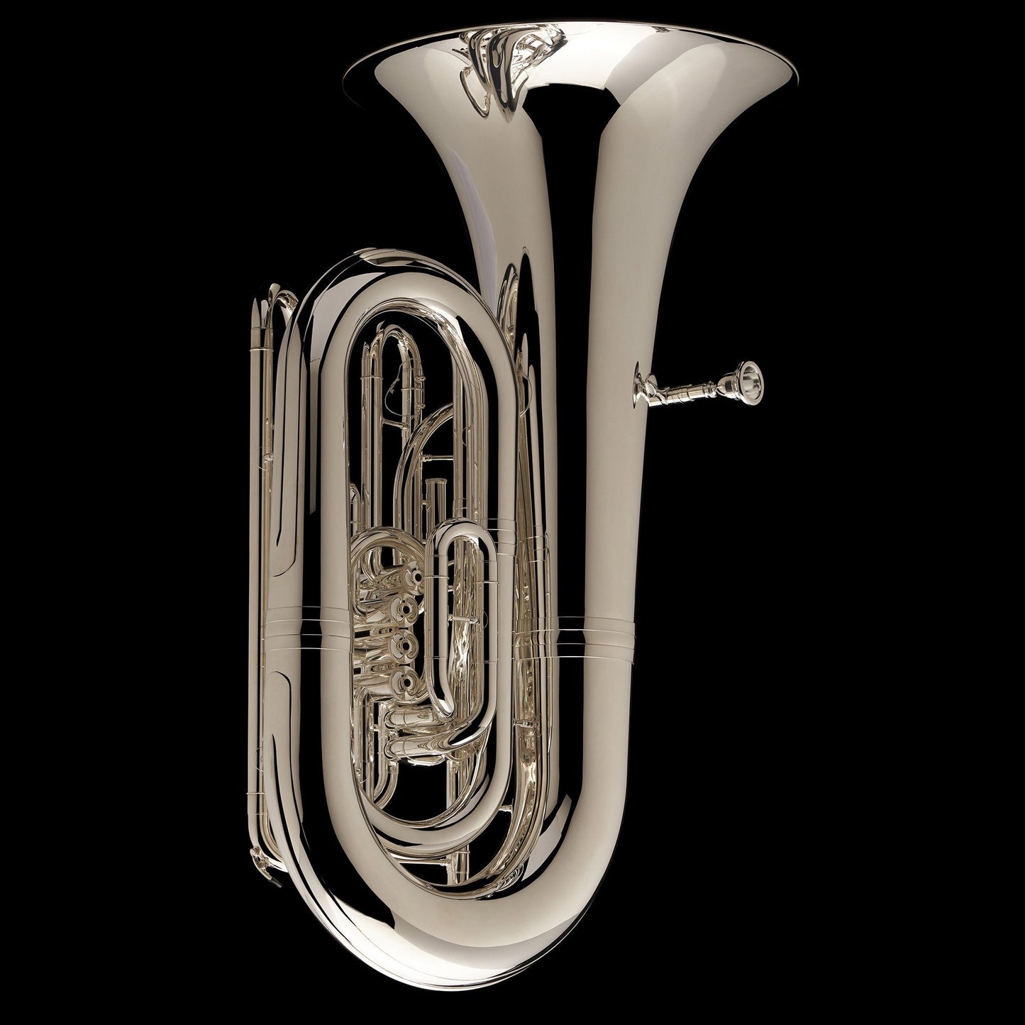 Tuba de 5/4 pistones CC 'Wyvern' – TC590P