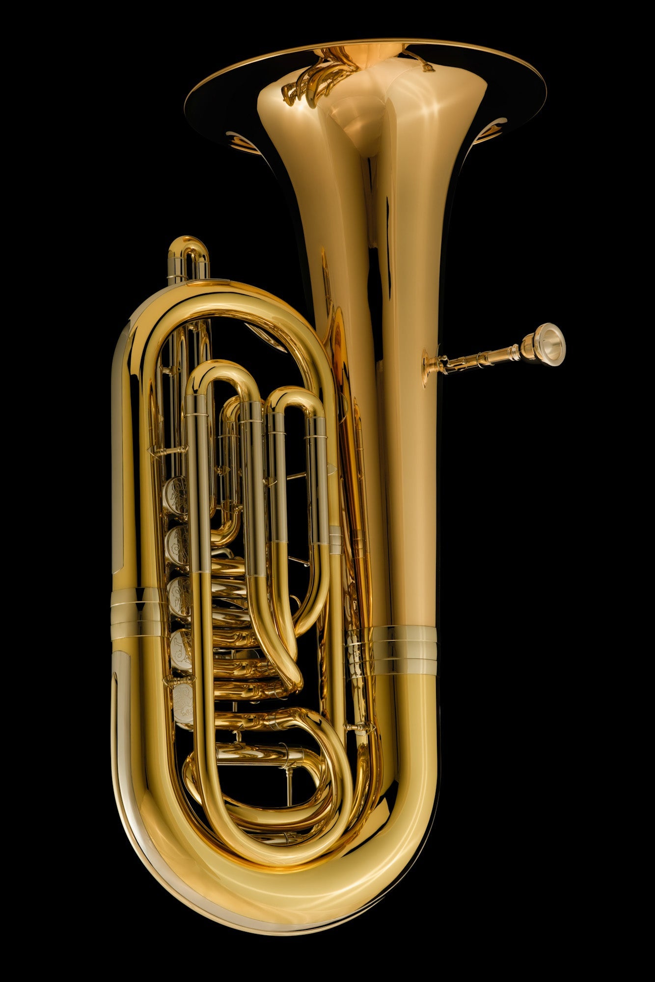 Tuba gold discount